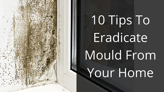 10 Tips to Eradicate Mould from Your Home