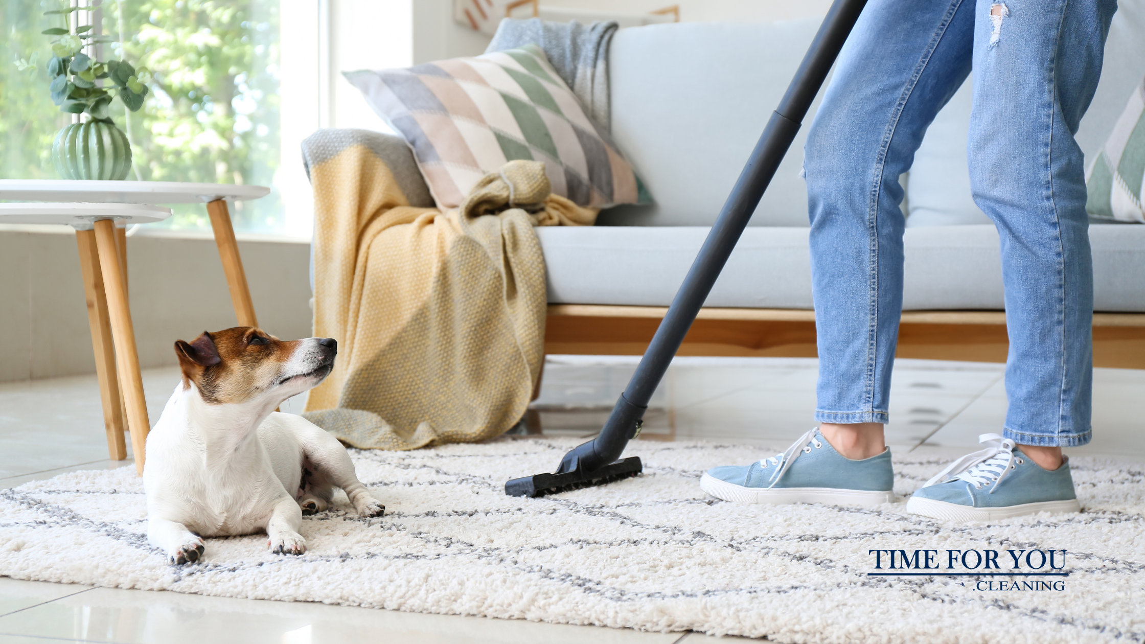 How to Keep Your Home Clean with Pets