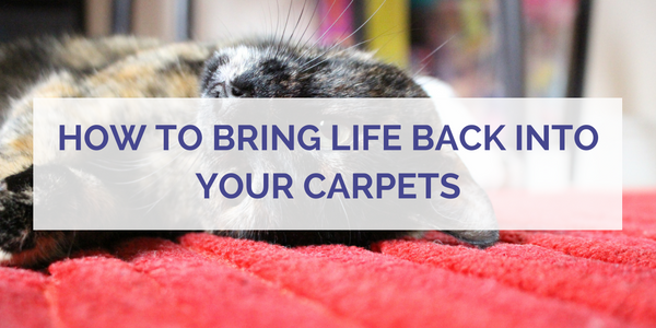 How to Bring Life Back Into Your Carpets
