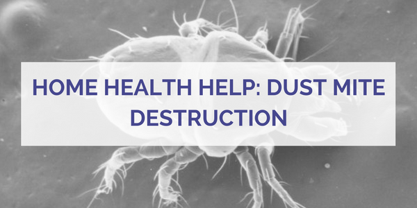 Home Health Help: Dust Mite Destruction