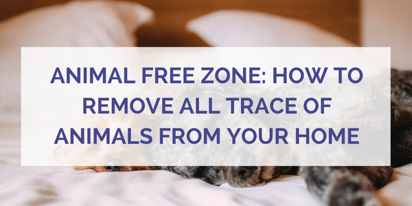How to Remove All Trace of Pets From Your Home