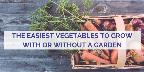 The Easiest Vegetables to Grow With or Without a Garden