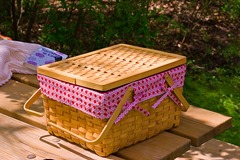 How to plan the perfect family picnic